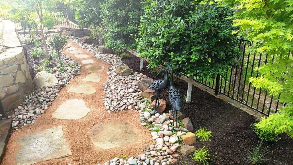 Trees Planted as a Privacy Screen