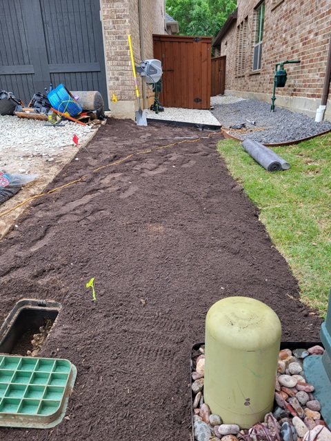 How to Fix a Muddy Side Yard in Texas | Fix a Soggy Side Yard
