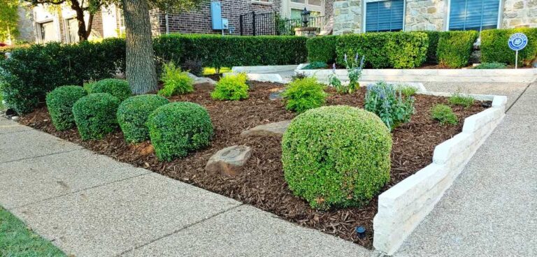 How Can I Make My Lawn Low Maintenance? | Low Upkeep Yard