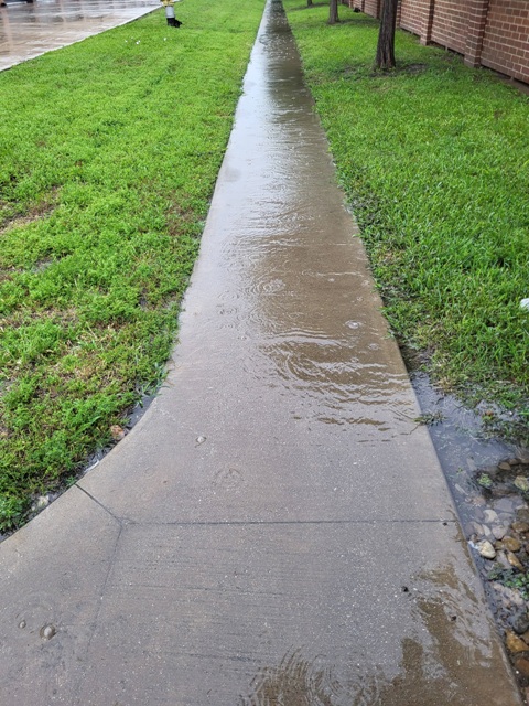 Lawn overwatered by sprinkler system