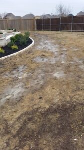 Backyard with Standing Water