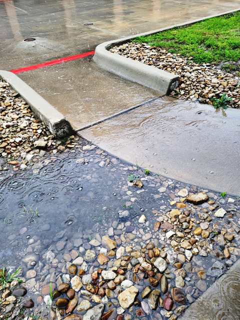 Water Pooling in Yard