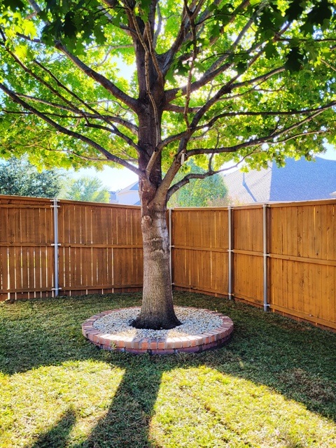 How to Prepare Trees and Shrubs for Texas Summer Heat