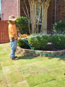 Watering Sod after Installation