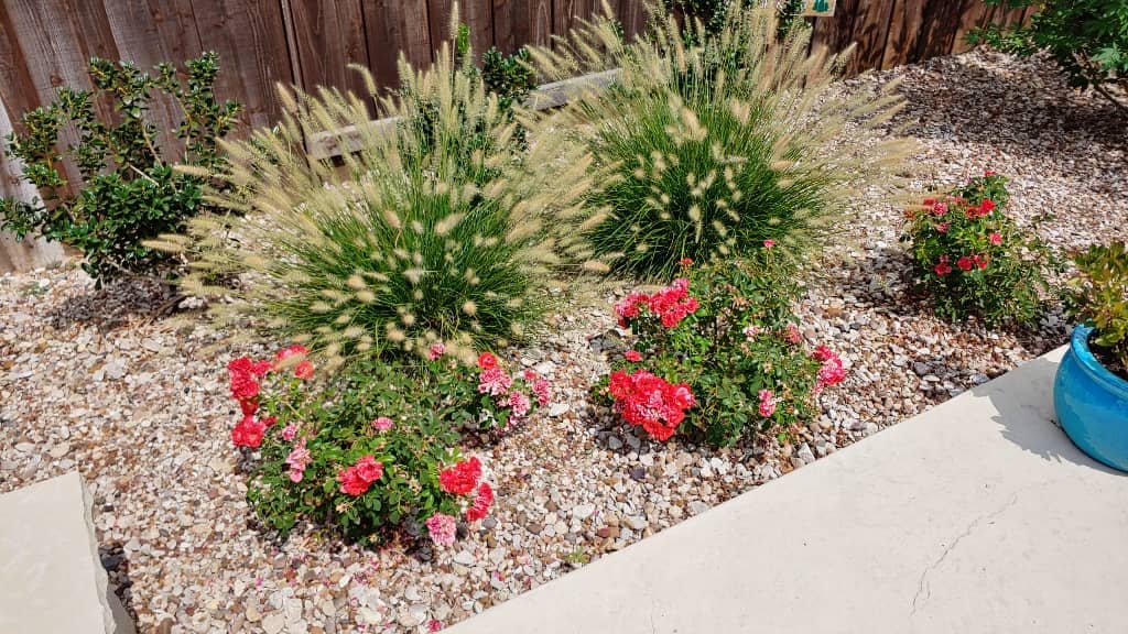 Best time for landscaping projects in Texas