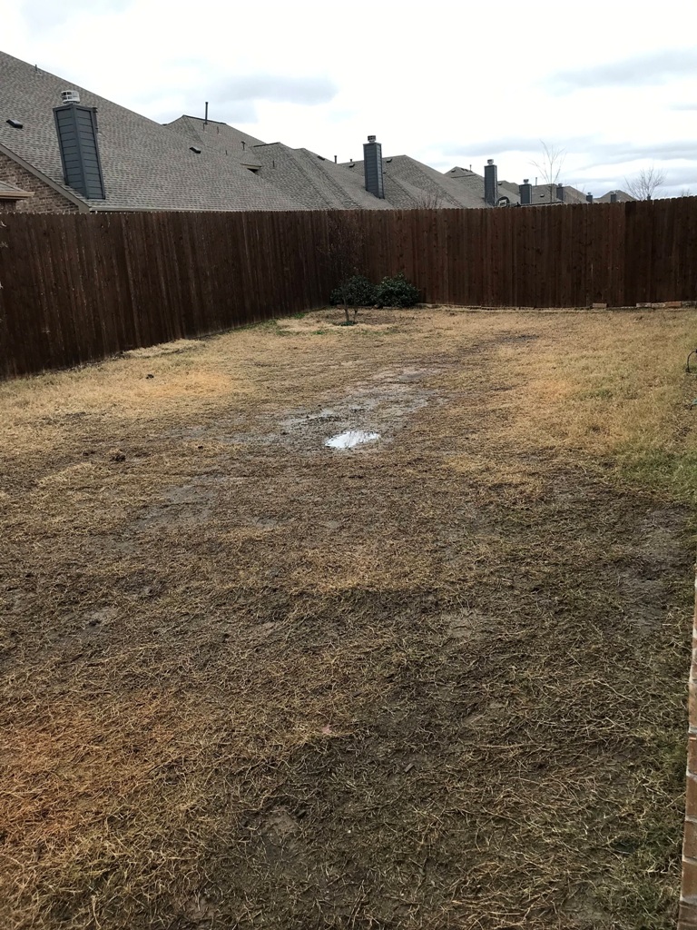 Fix Lawn Drainage Problems